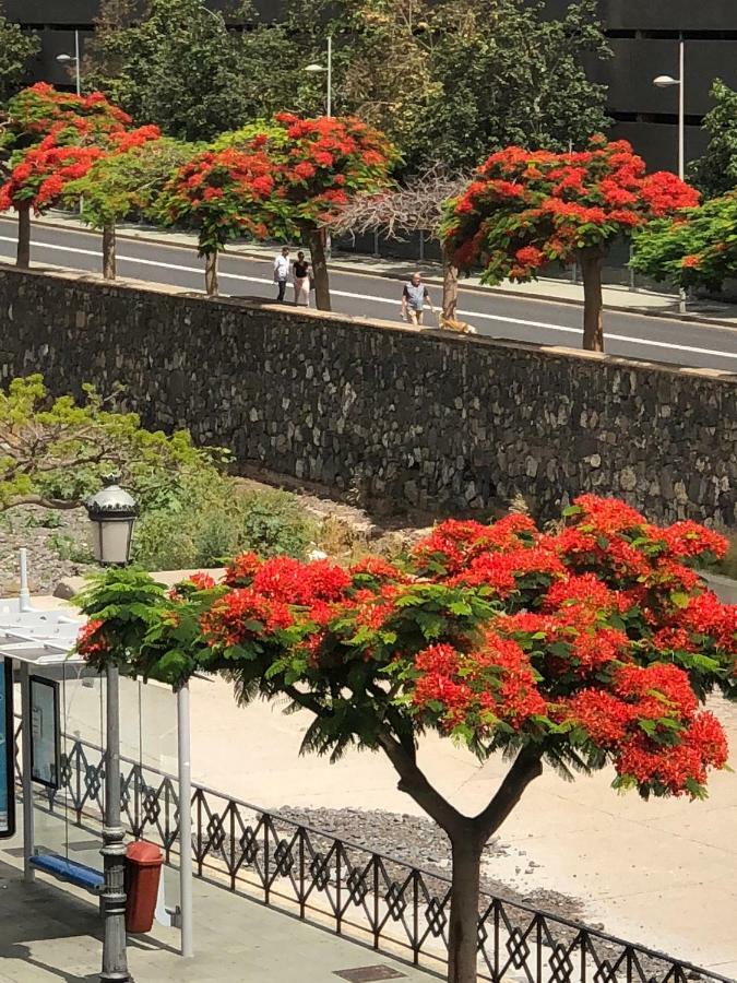 San Sebastian 65 Apartment ซานตาครูซ เด เตเนริเฟ ภายนอก รูปภาพ